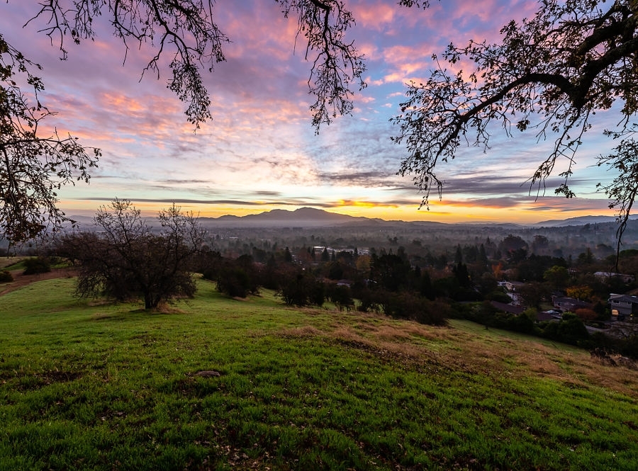 Steve Krochmal, Adam Koch, Tim Prevo